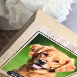 Dog Memorial, Memorial Gift, Pet Frame, Plaque, Photo Picture Paw - thumbnail 2
