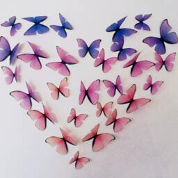 3D Ombre Butterflies Peach Light Pink Lavender - Set Of 27 - thumbnail 3