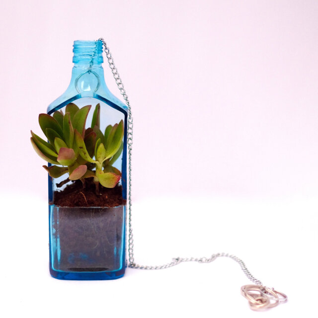 Hanging Succulent Planter Pot From Bombay Sapphire Gin Bottle - image 1