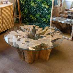 Tree Trunk Coffee Table - Unique - Modern Wood Stump Low Wooden Organic - thumbnail 3