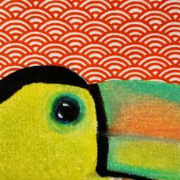 Small Painting Of A Keel-Tailed Toucan's Look in Dry Pastel & Handmade Japanese Paper - thumbnail 3