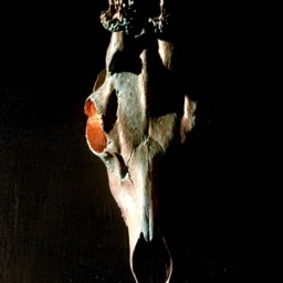 Verdigris Roe Iii - thumbnail 4