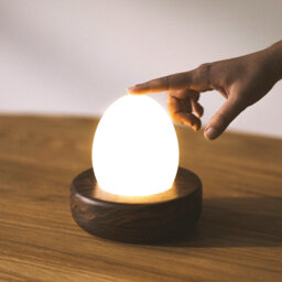 "Handmade Wooden ""Egg Lamp"