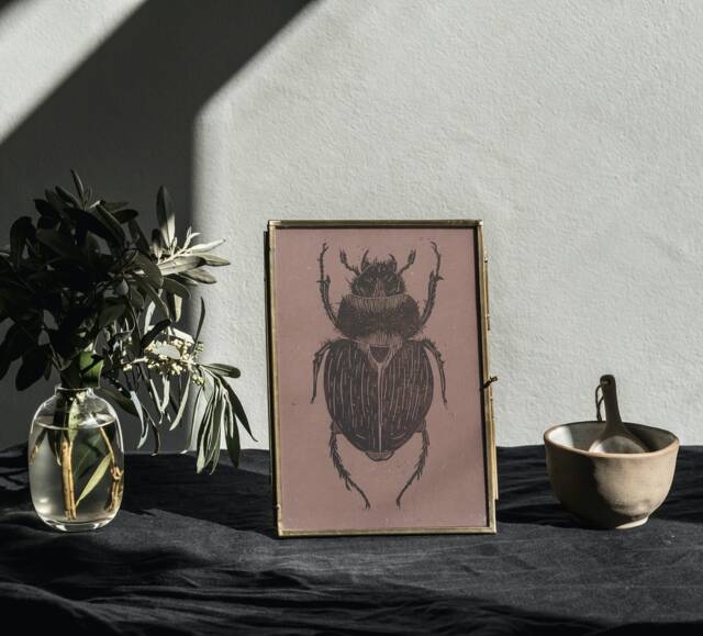 Linocut Beetle Print On Recycled Vegetable Paper Handmade Locally - image 1