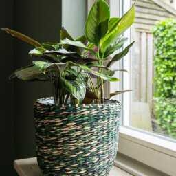 Jungle Green Xl Woven Plant Pot, Viviana, Multiple Sizes, D23cm-D30cm - thumbnail 2