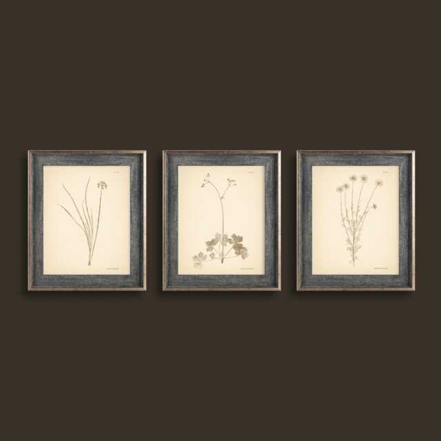 Neutral Beige Botanical Prints Set Of 3 Poster Wildflower Print Flower Vintage Art Decor Wall - image 1