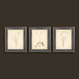 Neutral Beige Botanical Prints Set Of 3 Poster Wildflower Print Flower Vintage Art Decor Wall - thumbnail 1