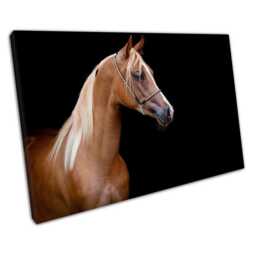 Rustic Equestrian Canvas Brown Chestnut Horse Wall Art Print For Home & Office Decor - thumbnail 1