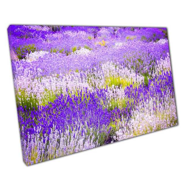 Serene Lavender Field Canvas Print Vibrant Purple Landscape Photography For Home & Office Decor - image 1