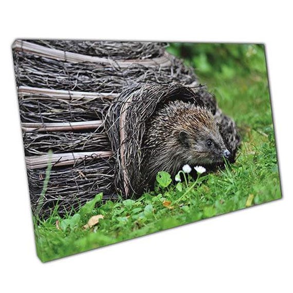 Charming Hedgehog Canvas Wall Art Adorable Nature-Inspired Decor For Home & Office Spaces - image 1