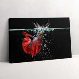 Fish in The Aquarium Canvas, Wall Art Picture, Red Decoration, Animals Canvas - thumbnail 2