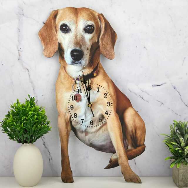 Customized Dog Wall Clock, Personalized Photo Pet Memorial Gift For Owner D??cor Clock, Memorial, Pet Remembrance - image 1