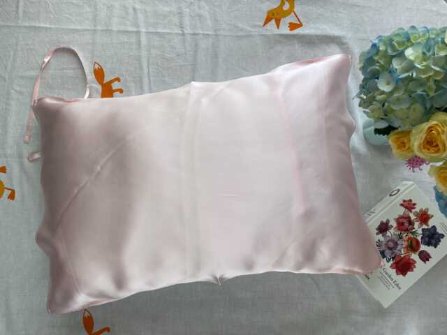 19 Momme Mulberry Silk Travel Pillowcover - 100% Pure Pillow Cover 48??74cm Soft Luxury Bedding - image 1