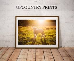 Southern Lamb Art Print Farmhouse Nursery Decor - Digital Download - thumbnail 1