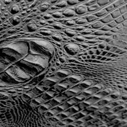 Crocodile Leather Counter Stool - Cowhide With Crocodile Look Embossed Texture Back - Priced Per Stool - Fpbk - thumbnail 4