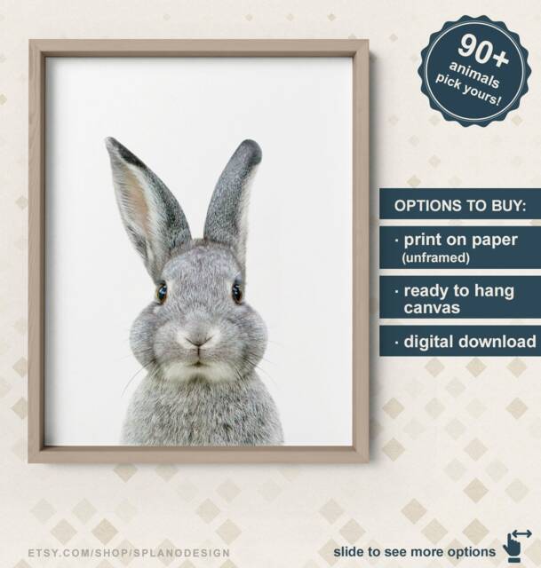 Bunny Picture For Nursery, Canvas, Rabbit Baby Nursery Art, Wall Decor, Animal Canvas - image 1