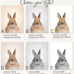 Bunny Picture For Nursery, Canvas, Rabbit Baby Nursery Art, Wall Decor, Animal Canvas - thumbnail 3
