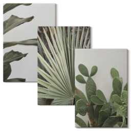 Canvas Wall Art Set Of 3 - Leaves Tropical Plants in Pastel Colors, Green Print, & Flowers Hanging Piece - thumbnail 1