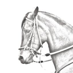 Paso Fino - Wooden Stand For Candles/Pens With The Image Of A Horse New Collection - thumbnail 2