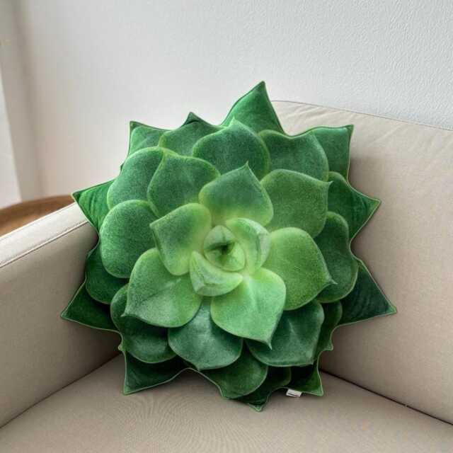 Echeveria Succulent Pillow - Plant Cushion, Green Decor - image 1