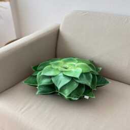 Echeveria Succulent Pillow - Plant Cushion, Green Decor - thumbnail 2