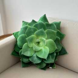 Echeveria Succulent Pillow - Plant Cushion, Green Decor - thumbnail 1