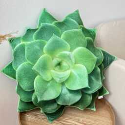 Echeveria Succulent Pillow - Plant Cushion, Green Decor - thumbnail 3