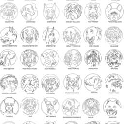 11x14 Dog Portrait Picture Frame, Lover Gift, Memorial, Puppy Breed Loss Laser Engraved Custom Frame - thumbnail 3