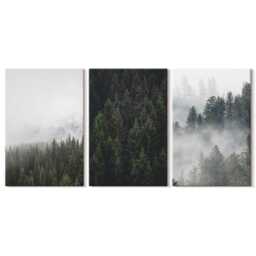 Canvas Set Of 3 Wall Art - Green Forests in A Misty Natural Setting, Large Art, Landscapes Decor - thumbnail 2