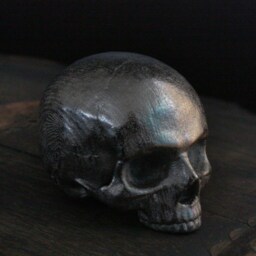 Yorick Skull With Latin Inscription - thumbnail 3