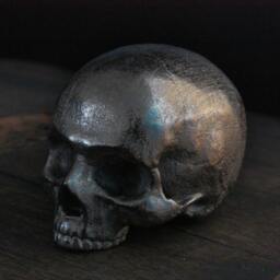 Yorick Skull With Latin Inscription - thumbnail 2
