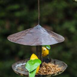 Recycled Metal Hanging Goldcrest Feeder. Outdoor Bird Garden Gift - thumbnail 4