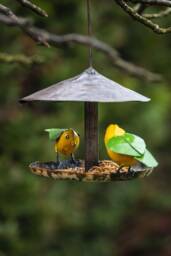 Recycled Metal Hanging Goldcrest Feeder. Outdoor Bird Garden Gift