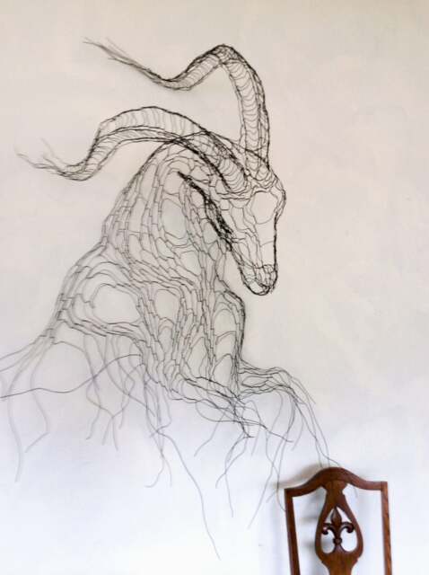 Ibex 48 - image 1