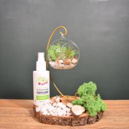 Diy Air Plant Terrarium Kit Gold Stand, Glass Ball, Reindeer Moss - thumbnail 4