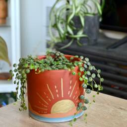 Minimal Layered Concrete Planter Sunset Beach Shimmery Gold Sun - thumbnail 2