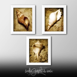 Seashell Trio Series 2 Printable Wall Art, Decor, Set Of 3 8x10 - thumbnail 2