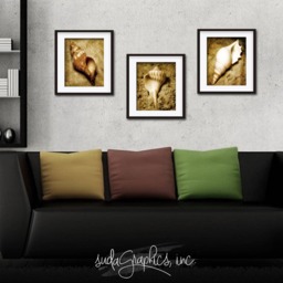 Seashell Trio Series 2 Printable Wall Art, Decor, Set Of 3 8x10 - thumbnail 3