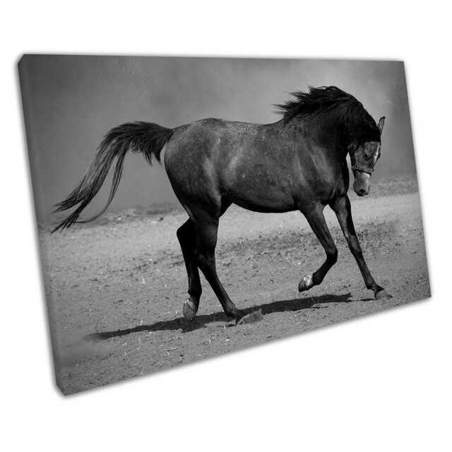 Elegant Black Stallion Galloping Canvas Print Wild Horse Wall Art For Home & Office Decor - image 1