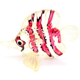 Miniature Glass Exotic Fish Little Sea Animal White Red Stripes Figurine Statue Hand Blown Decoration Collectible Small Craft Painted Figure - thumbnail 2