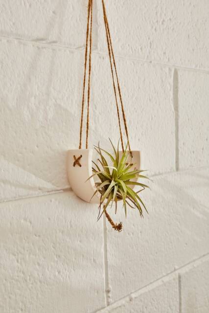 Hanging Tillandsia Planter - Botanical Arch in Jesmonite Eco-Resin - Floating Plant Holder - image 1