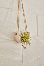 Hanging Tillandsia Planter - Botanical Arch in Jesmonite Eco-Resin - Floating Plant Holder