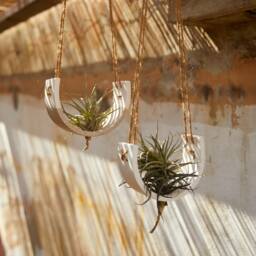 Hanging Tillandsia Planter - Botanical Arch in Jesmonite Eco-Resin - Floating Plant Holder - thumbnail 2