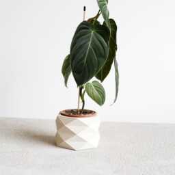 White Wooden Indoor Planter, Geometric & Minimalist Design House Plant Pot - Original Handmade Gift - thumbnail 2