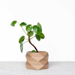 White Wooden Indoor Planter, Geometric & Minimalist Design House Plant Pot - Original Handmade Gift - thumbnail 4