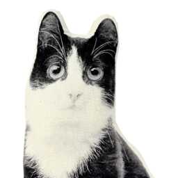 Silkscreened Kitten Pillow, Contour Shaped, Black & White Cat Lover Gift - thumbnail 3