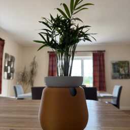 Solstice - Self-Watering Planter. Modern 3D Printed Indoor Plant Pot With Built-In Reservoir - thumbnail 4
