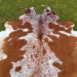 Genuine Brown White Speckled Cowhide Rug - Authentic Brazilian Hair On Cow Hide Large Western Farmhouse Area Decor- Ideal Gift For Her - thumbnail 4