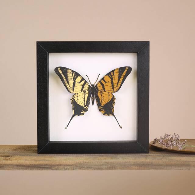 Butterfly Framed Wall Art - Personalized Print Mother's Day Gift 3D For Mom - image 1