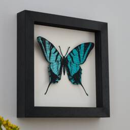 Butterfly Framed Wall Art - Personalized Print Mother's Day Gift 3D For Mom - thumbnail 3
